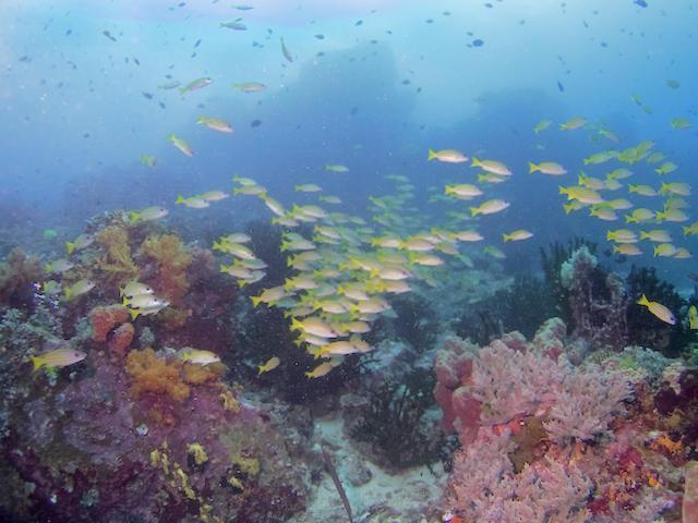 Nomad Divers Bangka Likupang Eksteriør billede
